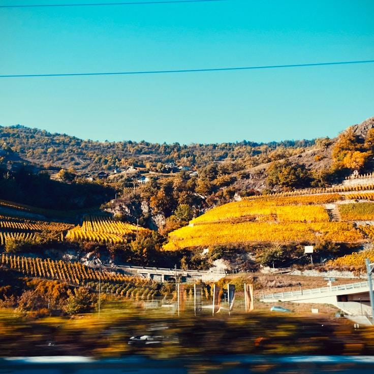 Kids playground area in Netherlands